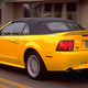 Illustration for article titled Every Single Fourth-Generation Mustang Looks Like It Lost A Bar Fighti/i